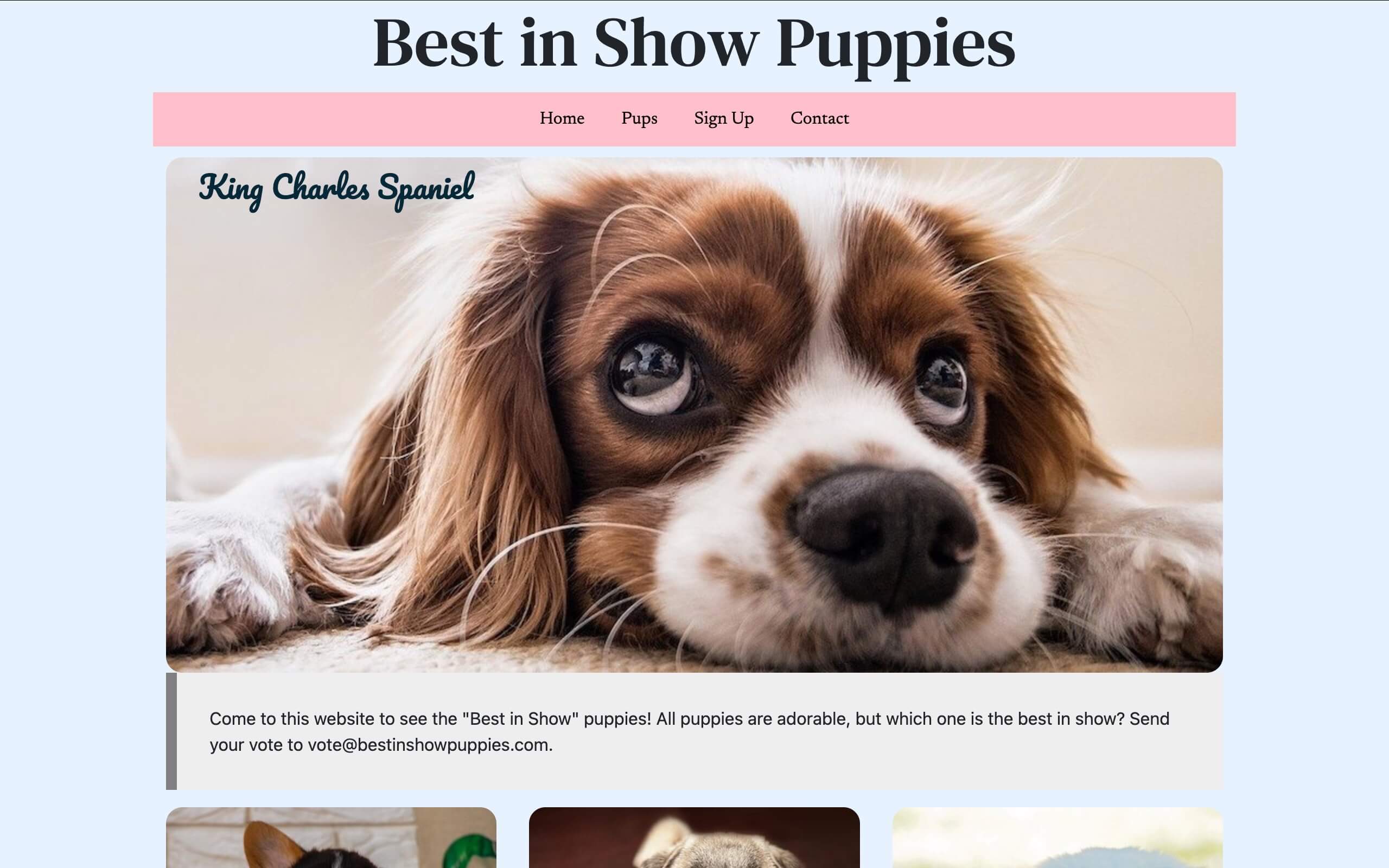 Puppy website image